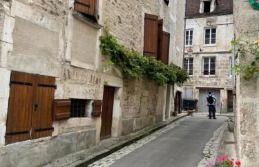 La Maison d'Alienor Les Valmurs - Foto 6