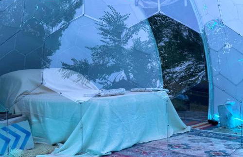 Verdmont 1926 - Foto 66