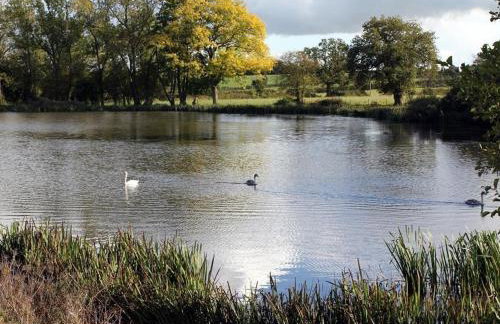 The Old Dairy - Foto 14