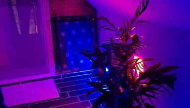 Ferienwohnung Wachsmann - Foto 2