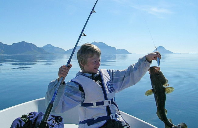 Holiday Home in Ballstad - Foto 42