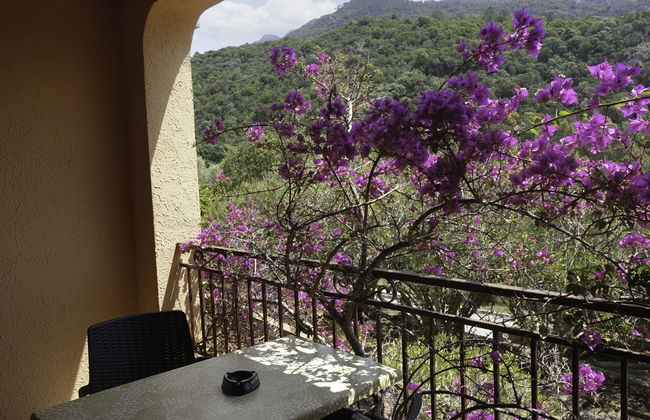 Residence Cabanaccia Studio 35m² - Foto 4