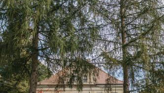 Pałac Rząsiny - Foto 5, Garden view