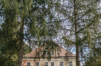 Pałac Rząsiny - Foto 5