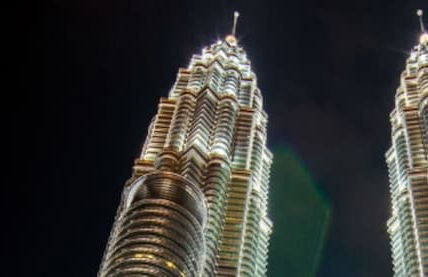 Vivo by Plush - Photo 3