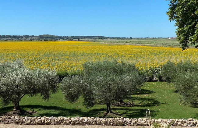 Beautiful Holiday Home with Hot Tub, Sauna & Monumental Fireplace - Photo 36