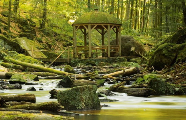 Holiday House on Bornfeld - Photo 3