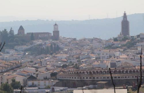 Apartamento Plaza de Toros - Foto 6