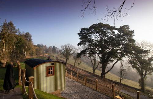 Little Silver Leaf - Foto 18