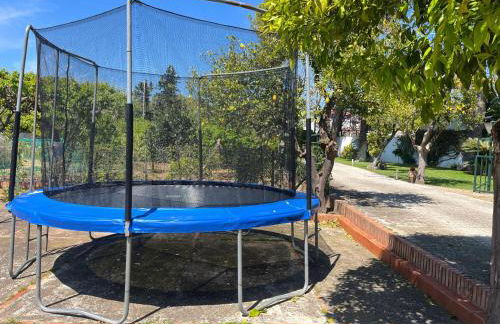 La Buganvilla - Photo 16