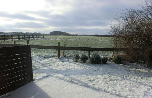 Kastanienhof - Foto 53