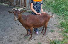 Cocon familial à la ferme - Foto 23