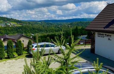 Solińskie Wzgórze domki z kominkami Solina Centrum - Photo 61