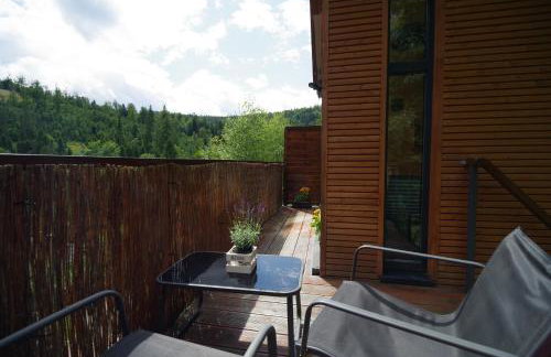 Ski House Szczyrk - Domek Na Kurzej Łapce - Foto 17