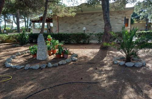 Paradiso House - Foto 31