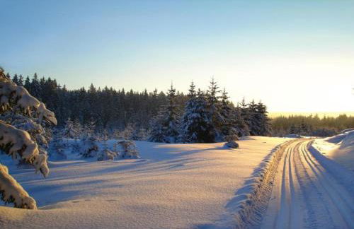 Ferienhaus mit Schwimmbad in Jagersgrun - Foto 53