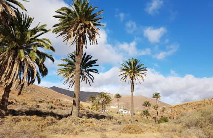 Casa Cocoon, Sun&Freedom, 8 mn from beaches, internet fiber - Foto 49