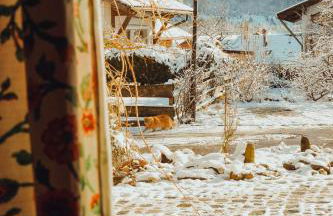 Haus am Weiher - Foto 36