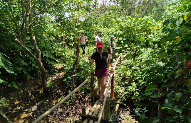 Namosi Eco Retreat - Photo 21