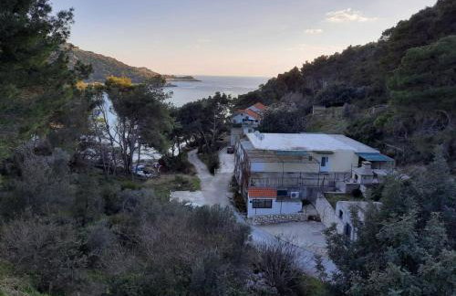 Apartments Pitarević - Photo 21