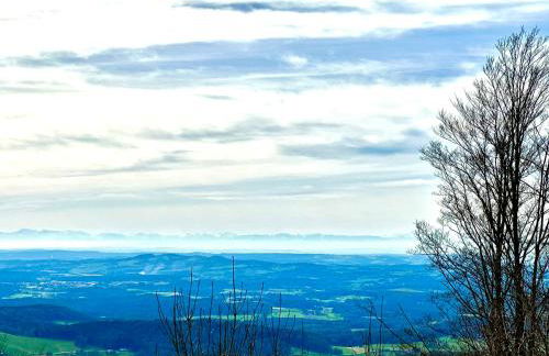 Gemütliches Alpenblick BERG-Bungalow + großer GARTEN + NETFLIX! - Foto 41
