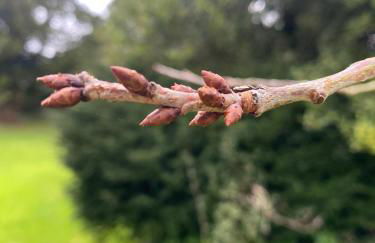 Agriturismo Il Respiro del Bosco - Foto 42