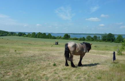 Landhaus Fischersruh Plauer See - Foto 18