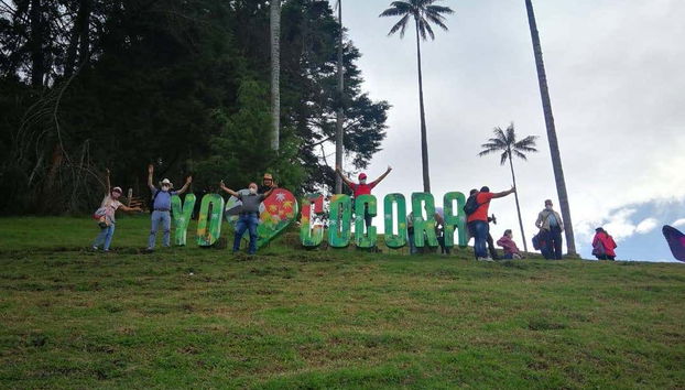 Excursion au sanctuaire du palmier à cire