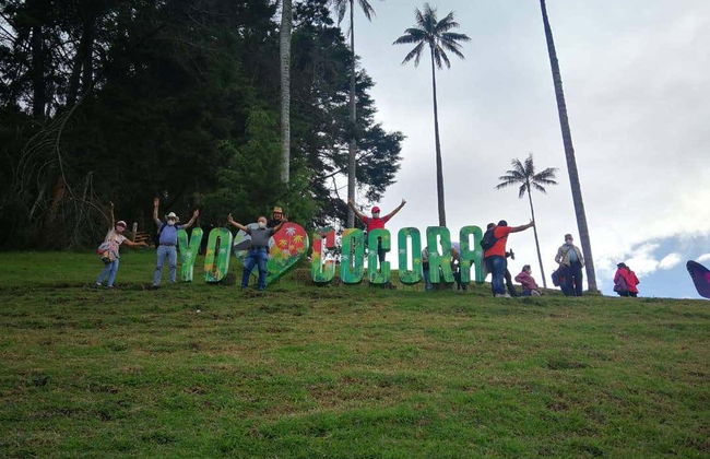 Escursione al santuario di palme da cera di Toche - Foto 5