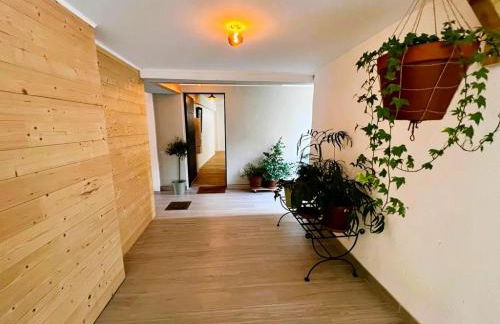 3p - 70m2 CAPUCINE au calme avec jardins - Foto 27