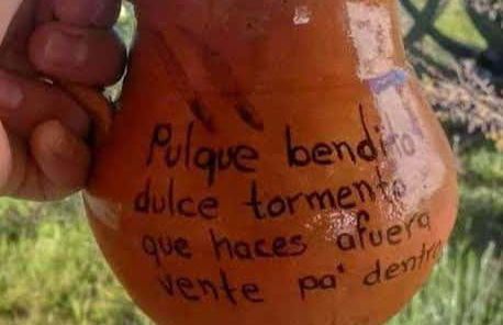 Pulque Tasting - Photo 6
