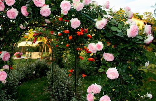 Agriturismo Argaland - Photo 131