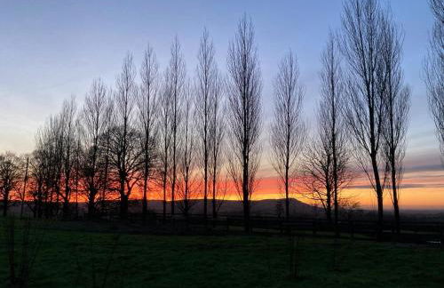 Peace & Tranquillity - Breathe Nature & Star Gaze - Photo 65