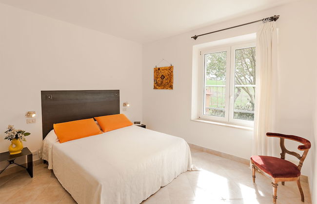 Artemisia negli ulivi B&B - Photo 4