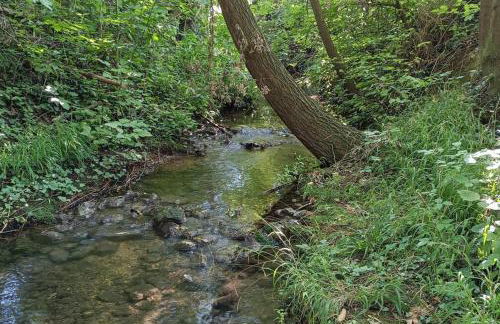Gîte du petit ruisseau 6,5km du zoo - Foto 21