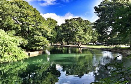 Beautiful Apartment at The Botanical Gardens #1 - Foto 40