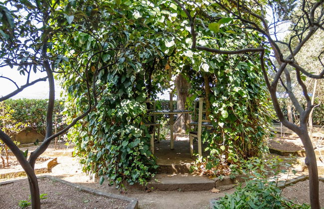 Sea star Danica - Foto 47