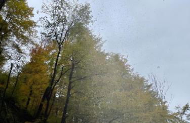 KUH'les Hideaway Steibis 3-Zimmer Ferienwohnung 55 m² - Foto 29