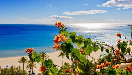 Apartamento Deluxe Playa Alicante - Foto 5