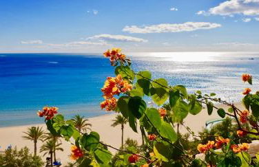 Apartamento Deluxe Playa Alicante - Photo 5