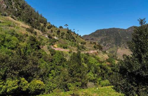 Casas do Lanço by An Island Apart - Foto 33