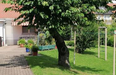 Töpferblick - Foto 24