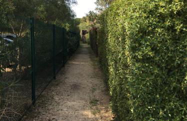 Studio L’ARGENTIERE PLAGE - Foto 27