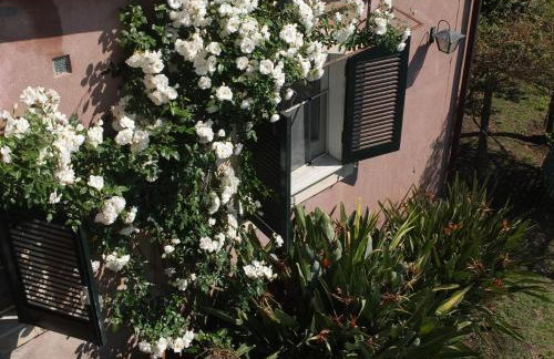 Uvatanta Cottage - Foto 42