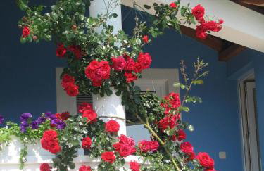 Luton Apartment Zadar Kozino Heating Pool & Jacuzzi - Foto 65