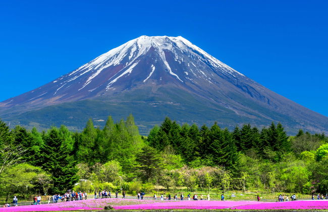 Mount Fuji & Fruit Picking Day Trip - Foto 1