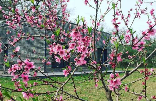 La maison du Verger - Foto 22