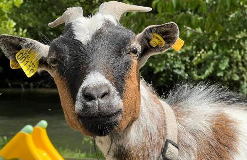 Gîte des 3 vallées - Foto 12