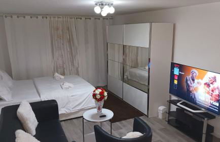 Gemütliches Loft 150 m von SLK klinikum Böckingen - Foto 1