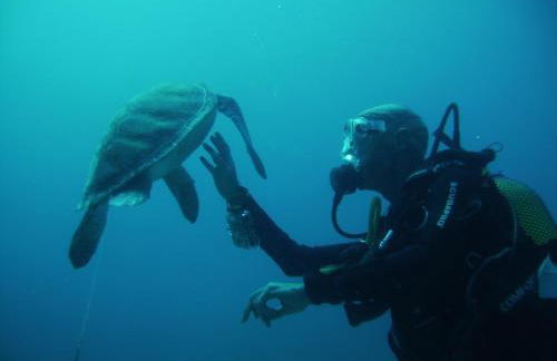 Alcalà Center A 5 minutos del paseo y playas - Photo 69